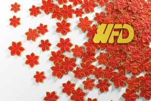 WFD Natale