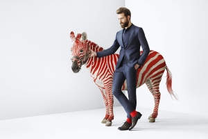 Zebra Uomo